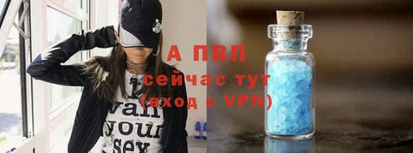 мяу мяу мука Майский