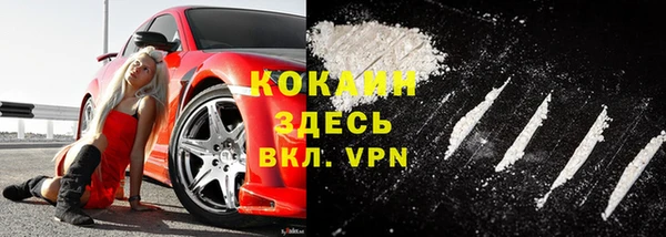 мяу мяу мука Майский