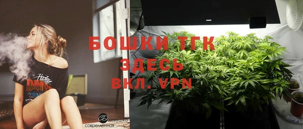 PSILOCYBIN Новый Уренгой