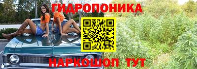 гашик Туймазы