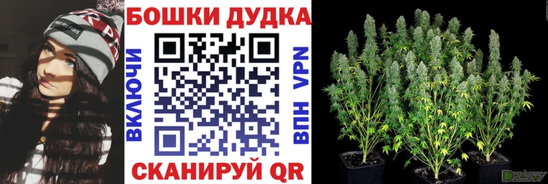 купить наркотик  Фурманов  Каннабис Ganja 